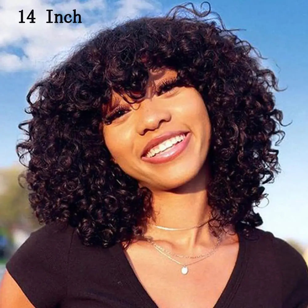 Short Loose Curly Wigs for Black Women, Afro Synthetic Wigs, Fluffy Natural Wigs, Half Wigs, Soft Hair